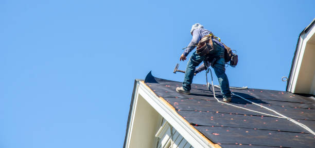 Best Storm Damage Roof Repair  in Wyoming, MN